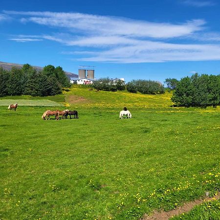 Small Cabin In The Countryside Selfoss Extérieur photo